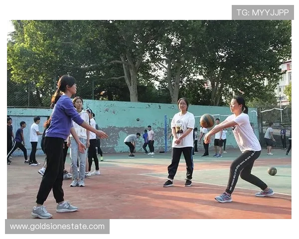 专访陈伟：探寻排球辉煌背后的成功秘诀与奋斗历程