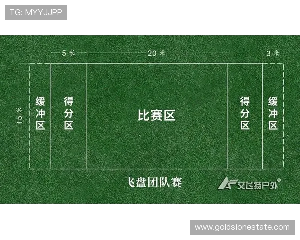 南京飞盘队的速度分析与战术探讨如何提升团队竞技水平